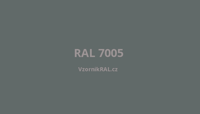 RAL 7005